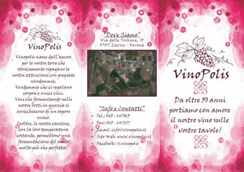 antonio-cennamo-vinopolis-ico