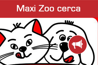 Maxi Zoo cerca Brand Designer