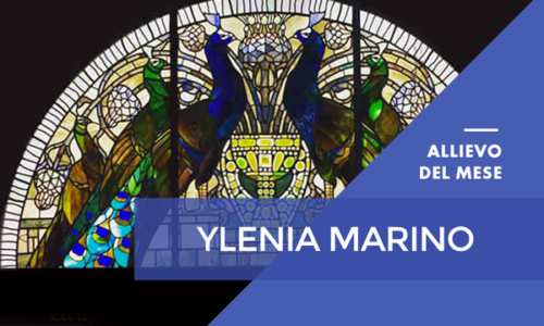 Luglio 2016 – Ylenia Marino – Master Online in Grafica Editoriale – Web Design & eCommerce