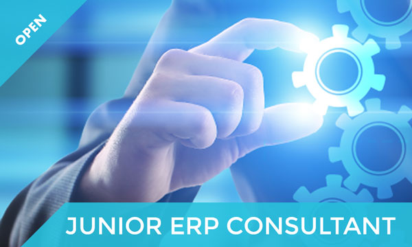 ISA ricerca Junior ERP Consultant