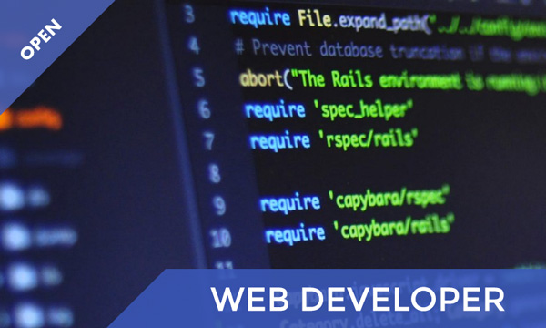 Lavoro per Web Developer – Roma